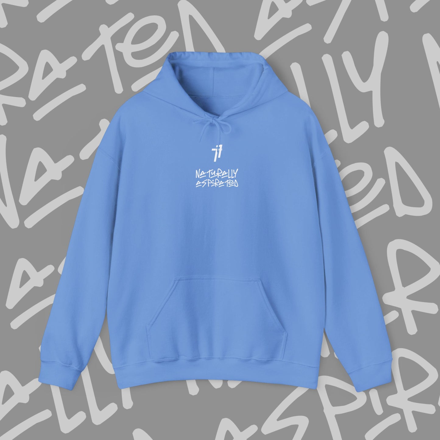 Naturally Aspirated Hoodie