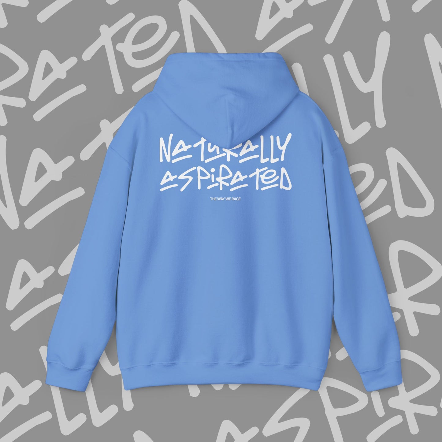 Naturally Aspirated Hoodie